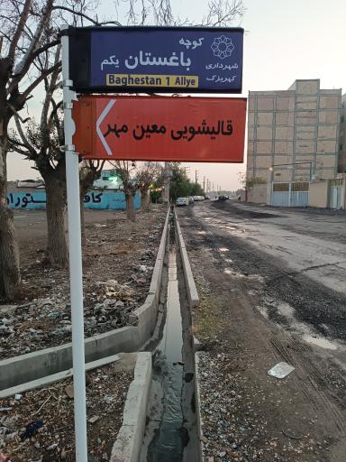 عکس قالیشویی معین مهر 