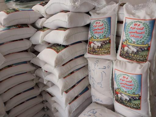 عکس برنج مشتاق