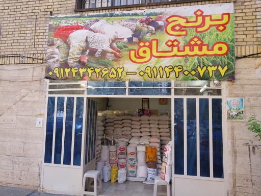 عکس برنج مشتاق