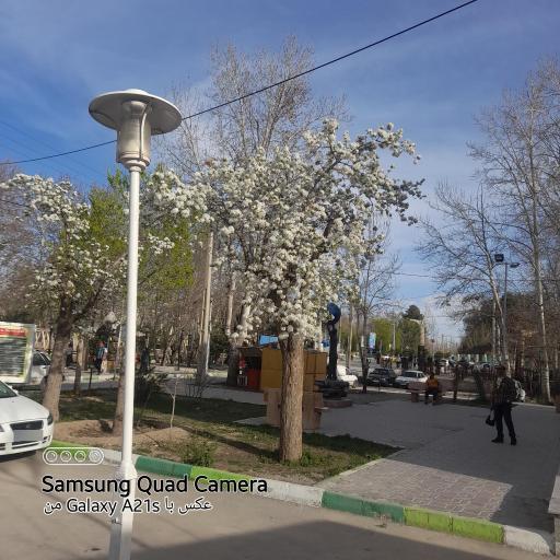 عکس پارک ساحلی شهر