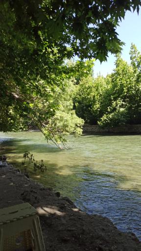 عکس پارک ساحلی شهر