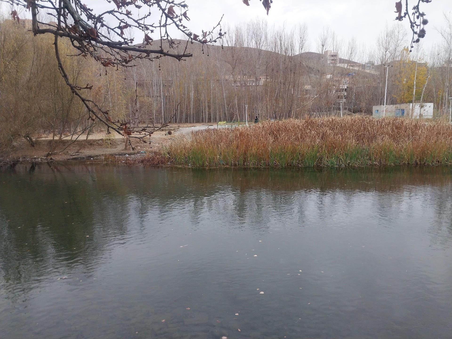 عکس پارک ساحلی شهر