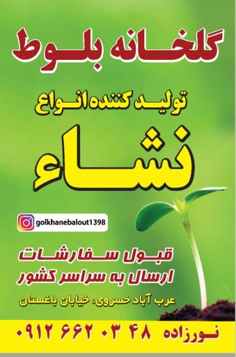 عکس گلخانه بلوط