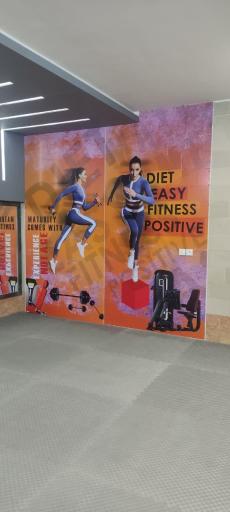 عکس باشگاه ورزشی آرسیس