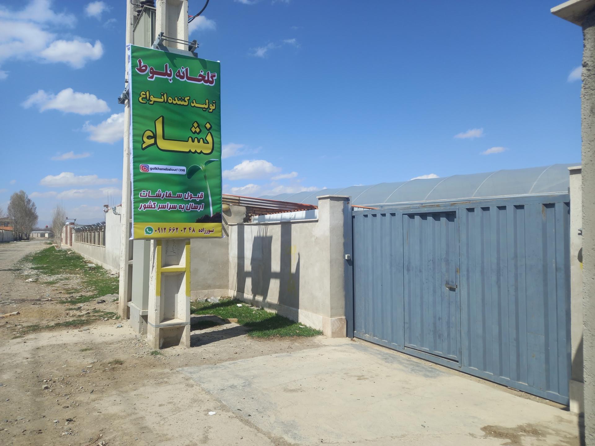 عکس گلخانه بلوط