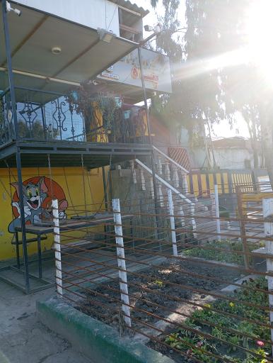 عکس پناهگاه حیوانات مهر