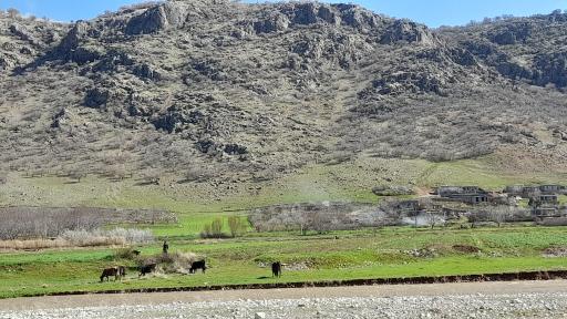 عکس سرآب برناج