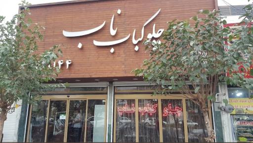 عکس چلوکباب ناب