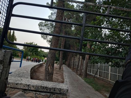 عکس بوستان شکوفه