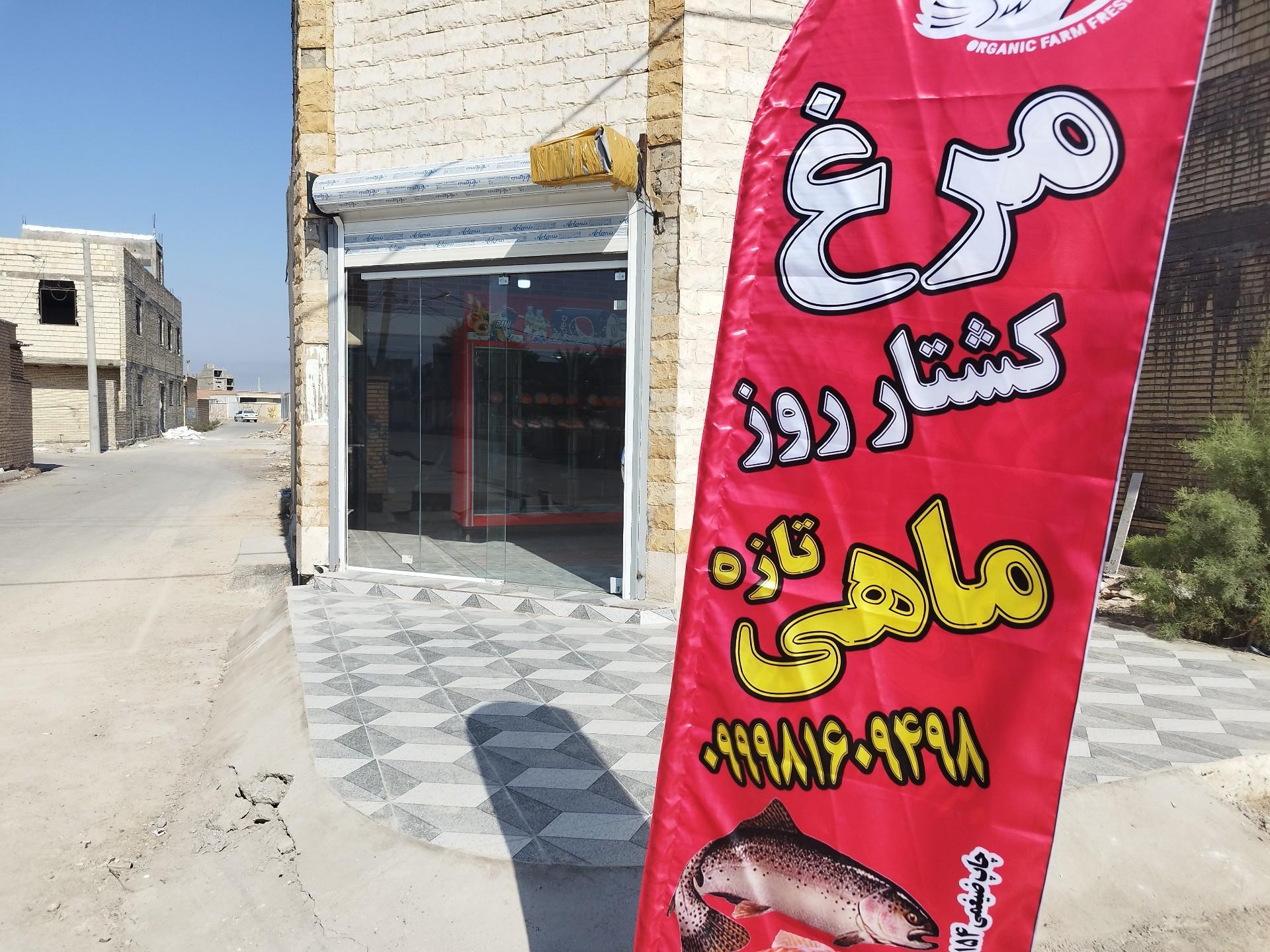 عکس مرغ و ماهی پرند
