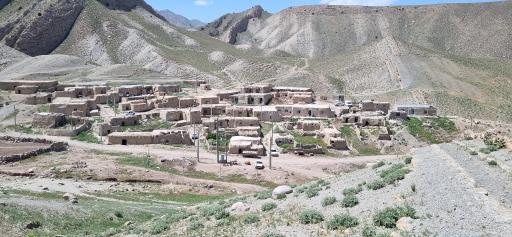عکس بید سوخته