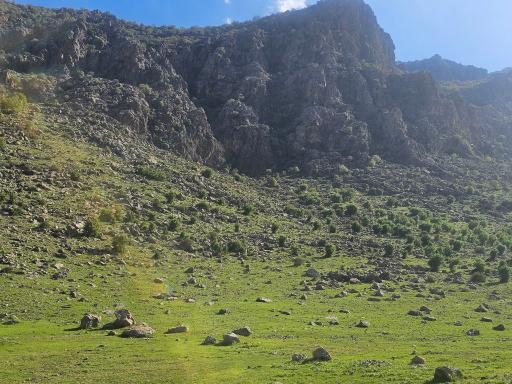 عکس سرآب برناج