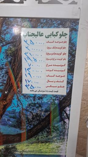 عکس کبابی عالیجناب