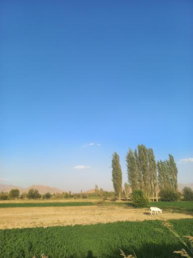 عکس کرکان