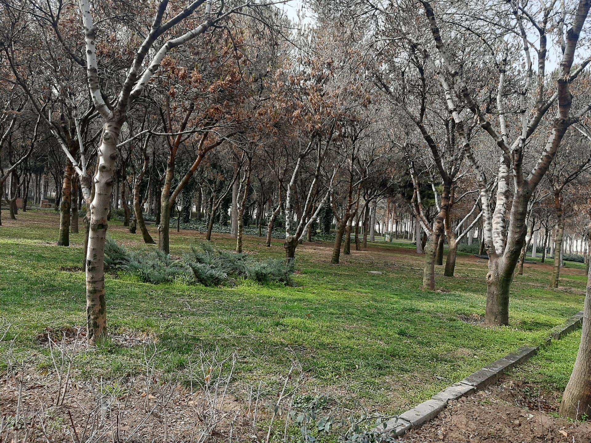 عکس بوستان بانوان بهشتی