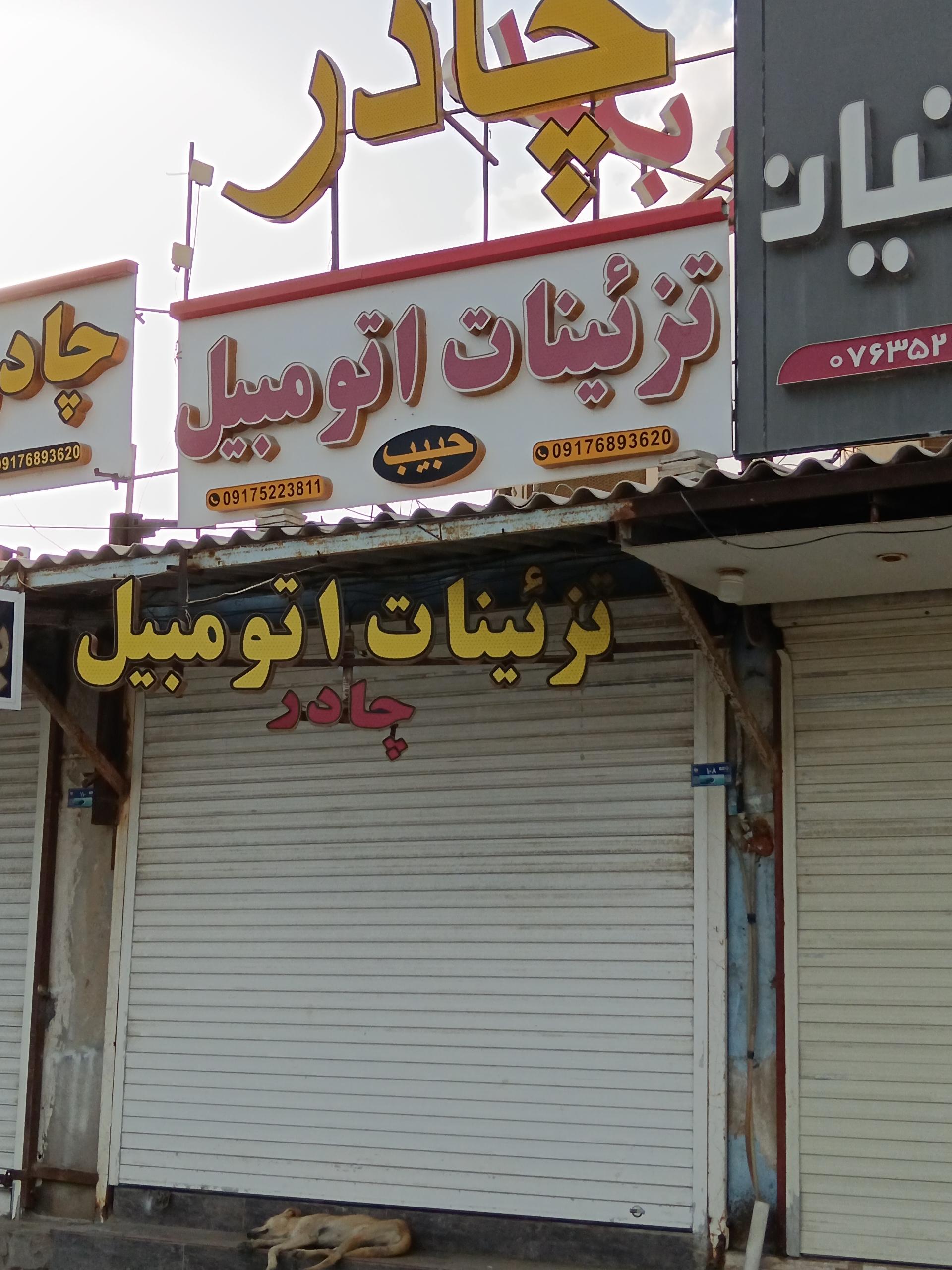 عکس تزئینات اتومبیل حبیب