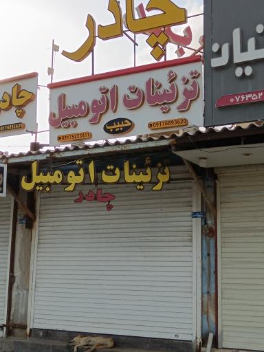 عکس تزئینات اتومبیل حبیب