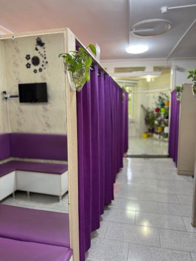 عکس فیزیوتراپی سبلان شرق