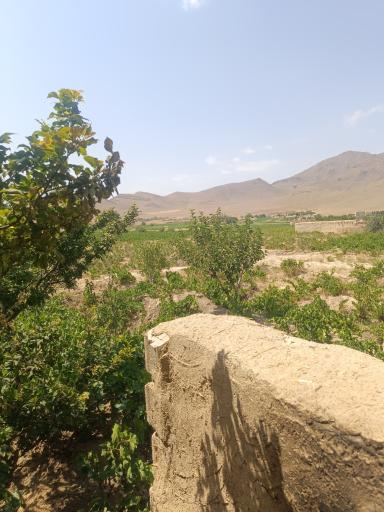 عکس کرکان