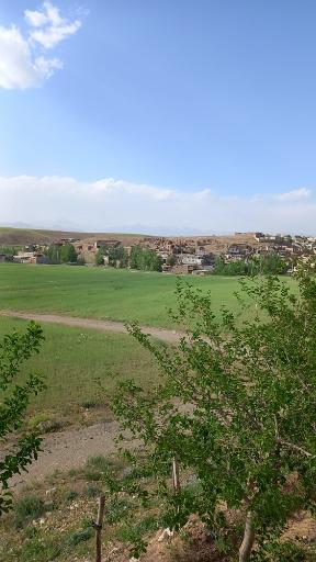 عکس حیدری