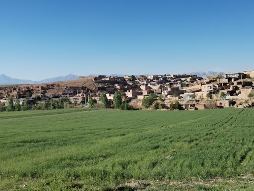 عکس حیدری
