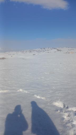 عکس حیدری