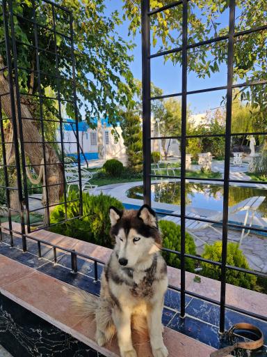 باغ  تالار ملکه