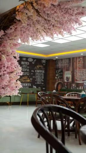 عکس کافه بستنی یاشا اردبیل