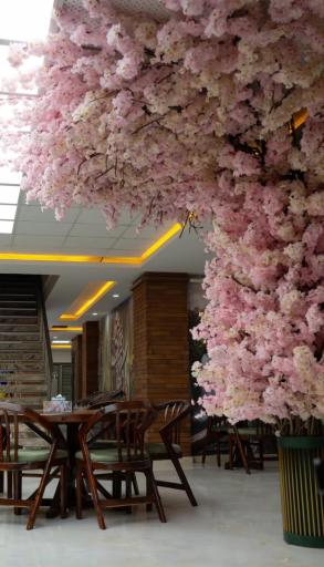 عکس کافه بستنی یاشا اردبیل