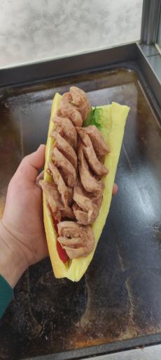 عکس پیتزا ساندویچ مصلی 