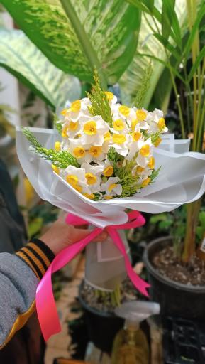 عکس گل فروشی کاکتوس سرا