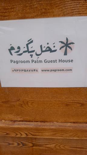 بومگردی نخل پگروم 