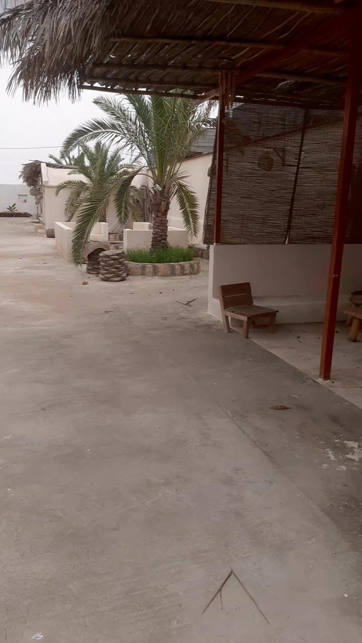 عکس بومگردی نخل پگروم 