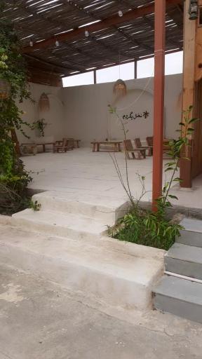 بومگردی نخل پگروم 