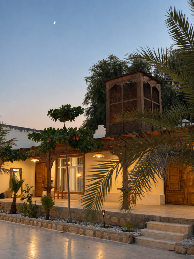 عکس بومگردی نخل پگروم 