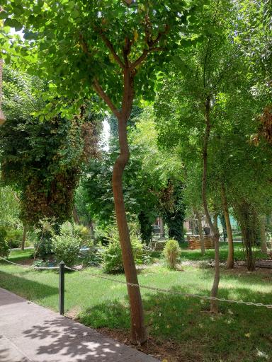 عکس بیمارستان مفرح بهمنیار