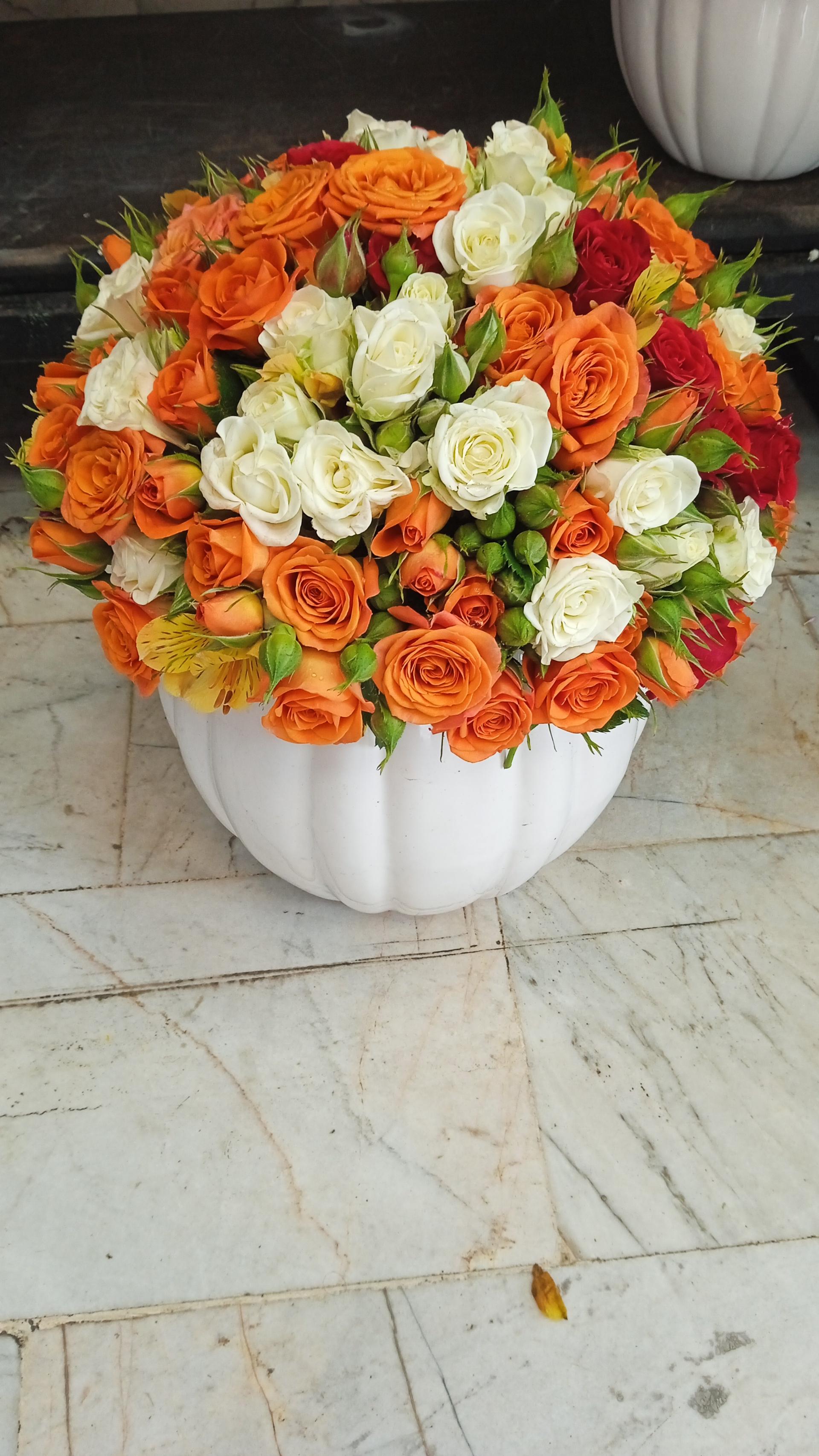 عکس گل فروشی آزالیا