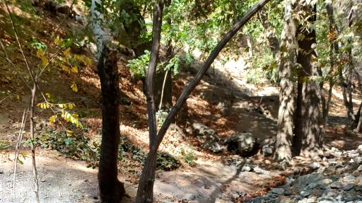 عکس چشمه منصوری