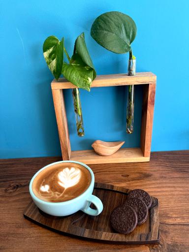 عکس کافه فرندز