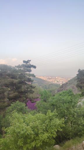 عکس چشمه منصوری