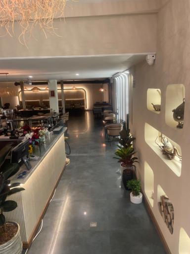 عکس فیش اند چیپس سی زون