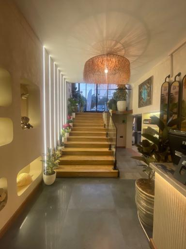 عکس فیش اند چیپس سی زون