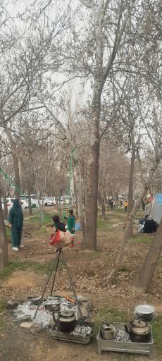 عکس پارک جنگلی گلستان