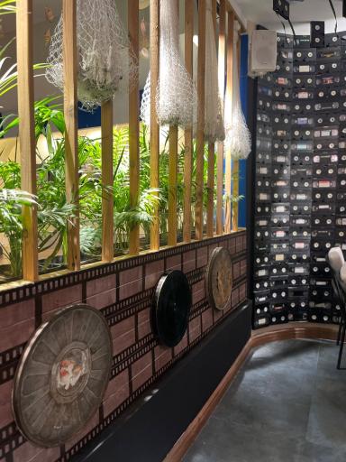 عکس فیش اند چیپس سی زون