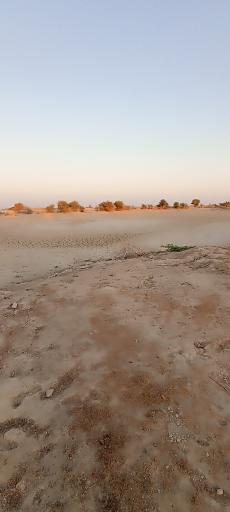 عکس هوتگ نوبندیان
