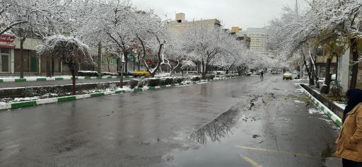 عکس  شهید شیرودی 4