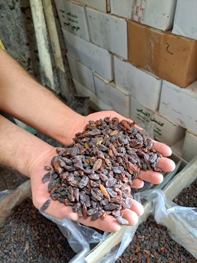 عکس کشمش و شیره جات جواد