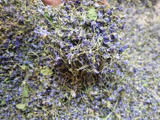 عکس محصولات ارگانیک هم تک