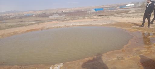 عکس ساری سو