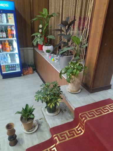 عکس کباب حمید